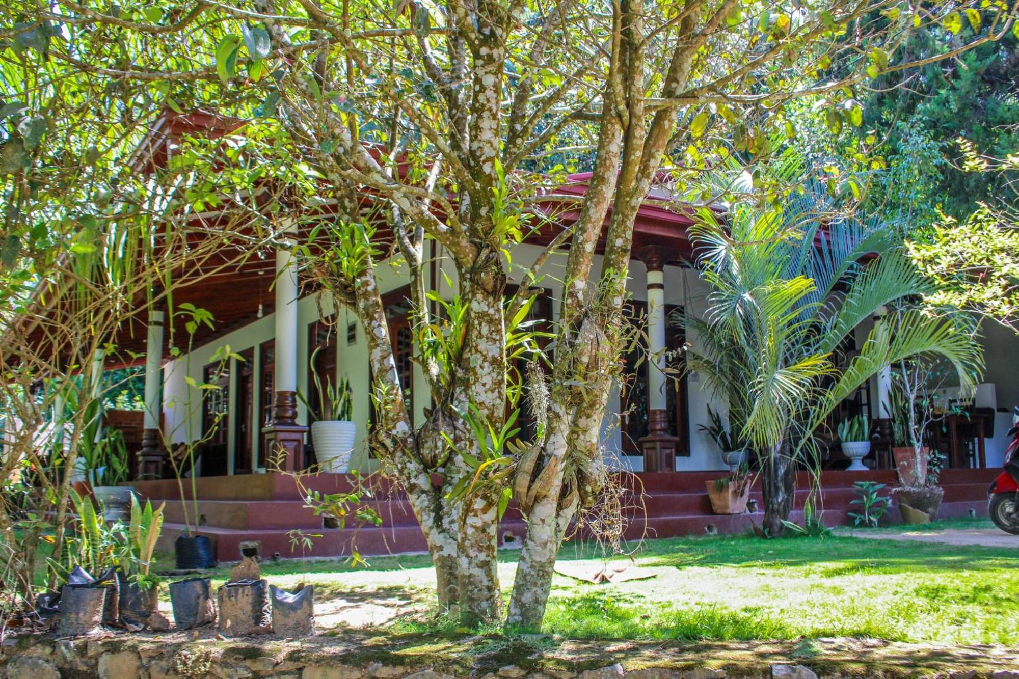 Lavender Homestay Ella Kültér fotó